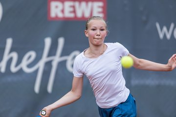 Bild 791 - Klippeldon